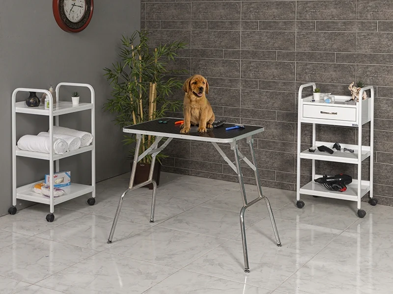 Veteriner Pet Bakım ve Muayene Masası | TrioCare-6003