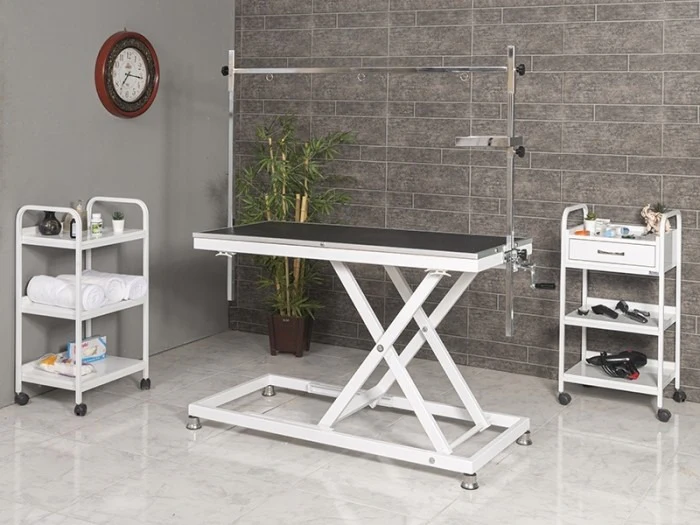 Veteriner Pet Bakım ve Muayene Masası | TrioCare-6008