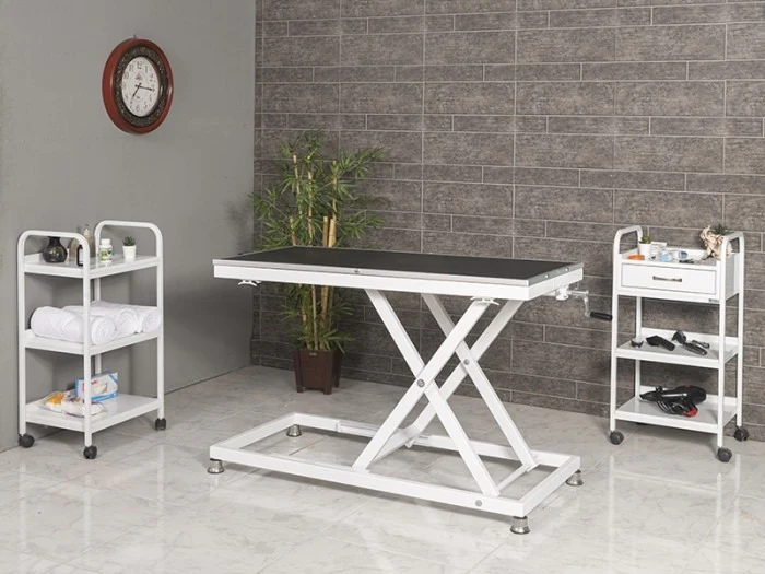 Veteriner Pet Bakım ve Muayene Masası | TrioCare-6008
