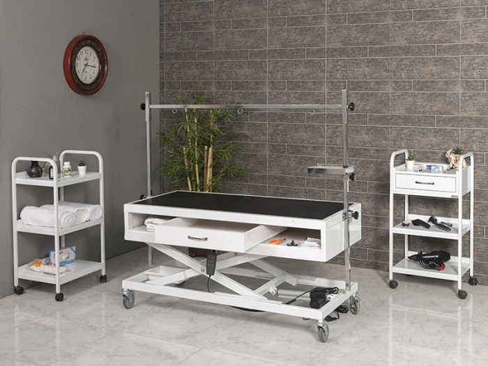 Veteriner Pet Bakım ve Muayene Masası | TrioCare-6011
