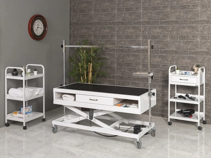 Veteriner Pet Bakım ve Muayene Masası | TrioCare-6011