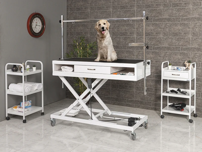 Veteriner Pet Bakım ve Muayene Masası | TrioCare-6011