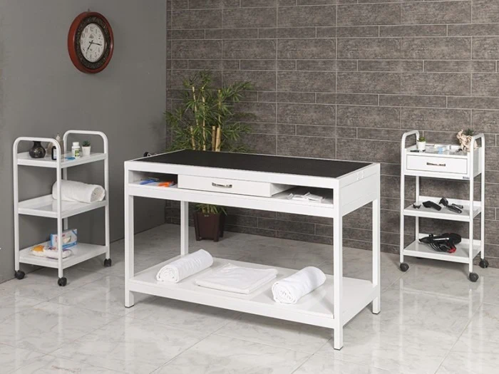 Veterinary Grooming and Examination Table | TrioCare-6006