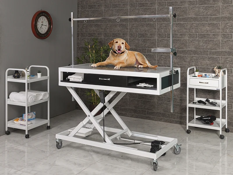 Veteriner Röntgen (X-Ray) Masası | TrioCare-6204