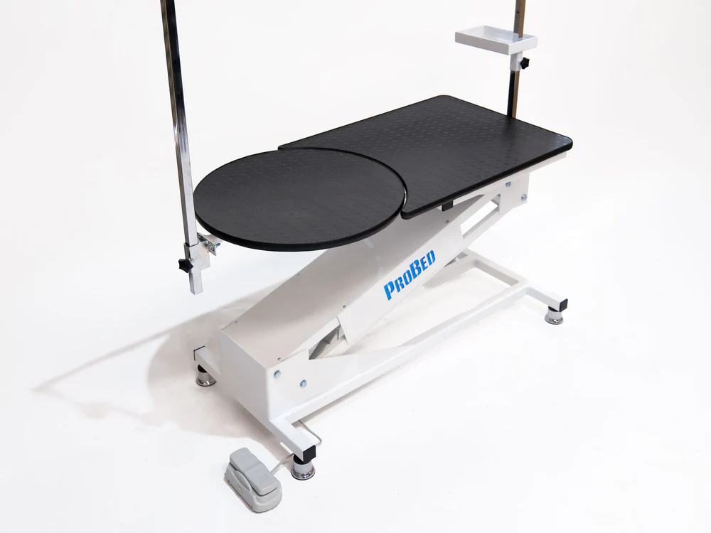 Motorized Veterinary Grooming and Examination Table - Oval - White | TrioCare 6068