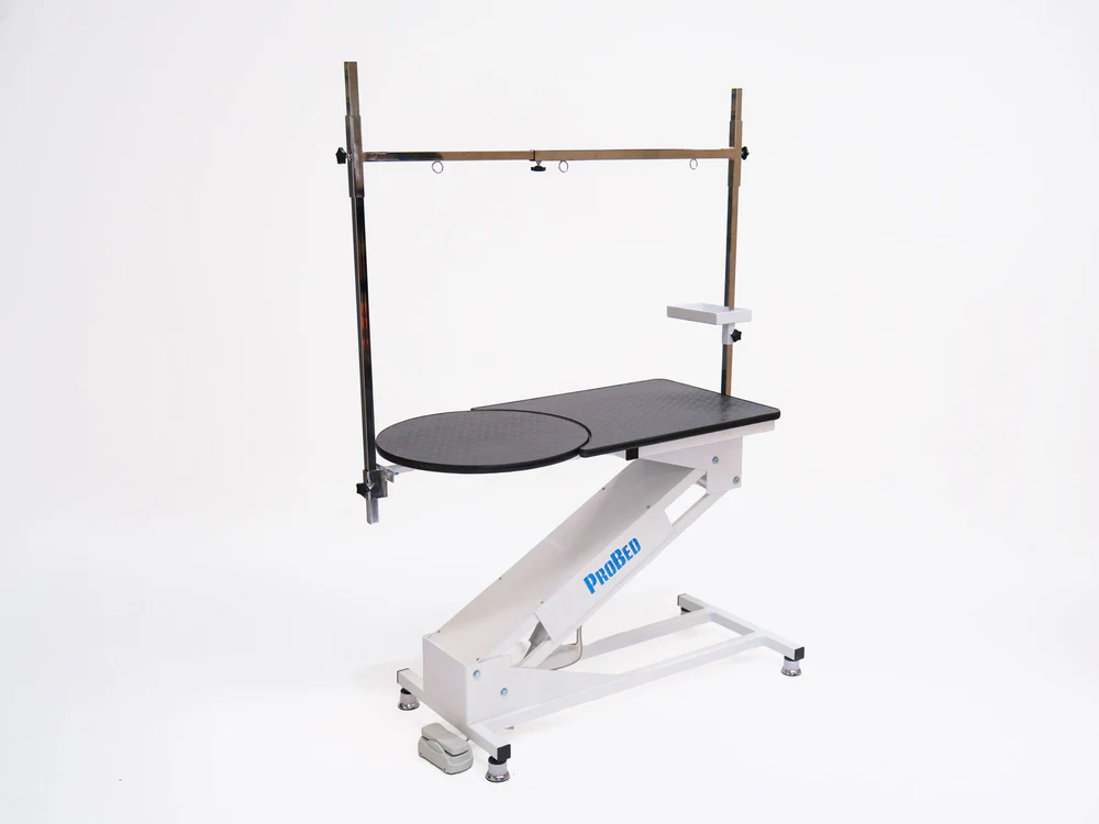 Motorized Veterinary Grooming and Examination Table - Oval - White | TrioCare 6068
